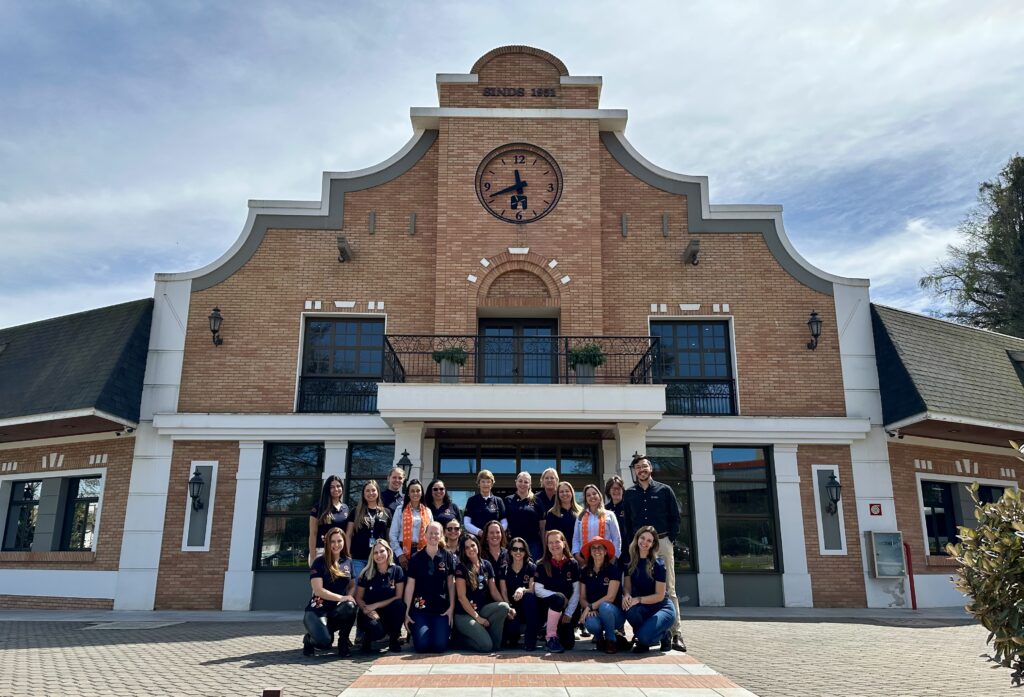 Mulheres Cooperativistas Veiling em Castro