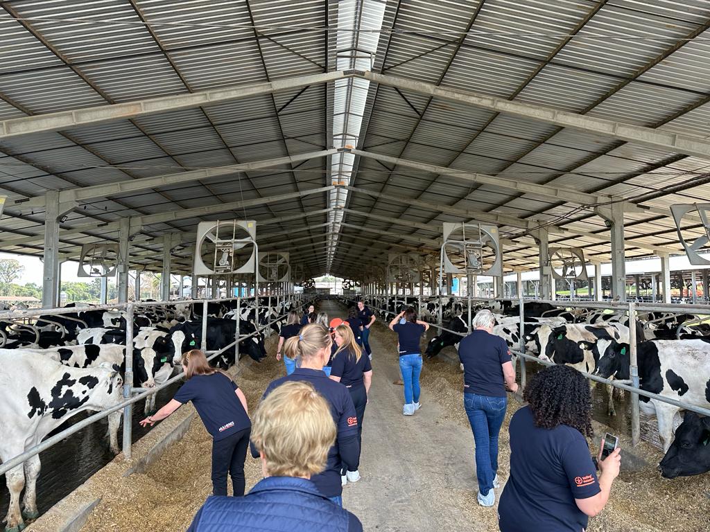 Mulheres Cooperativistas Veiling em Castro