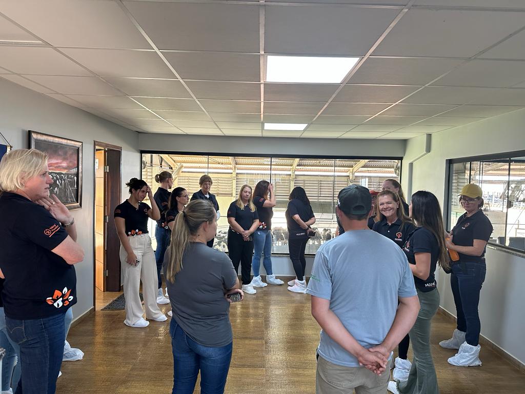 Mulheres Cooperativistas Veiling em Castro