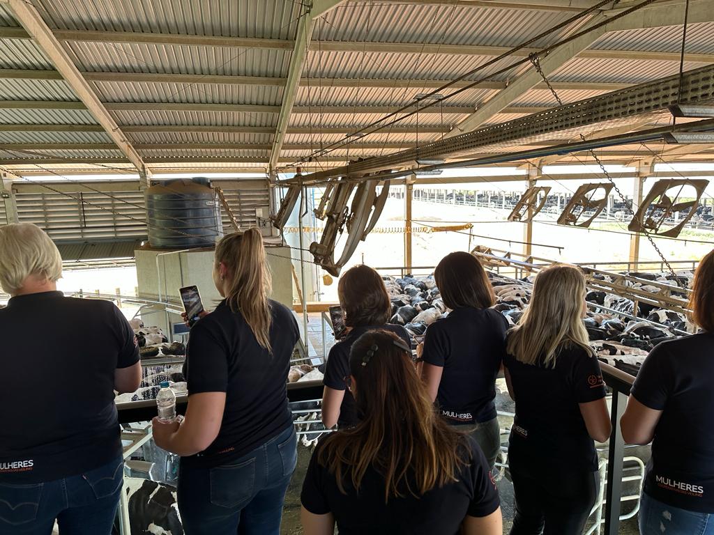 Mulheres Cooperativistas Veiling em Castro
