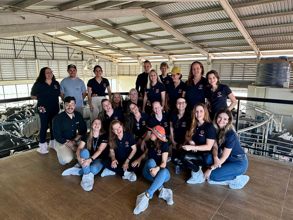 Mulheres Cooperativistas Veiling em Castro