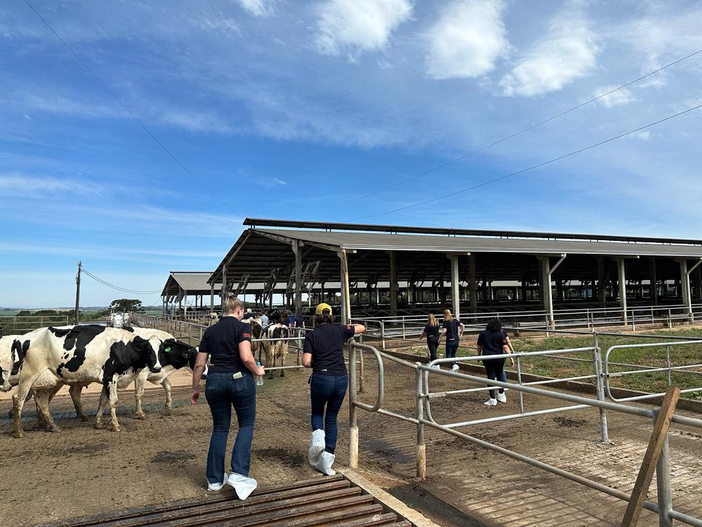Mulheres Cooperativistas Veiling em Castro