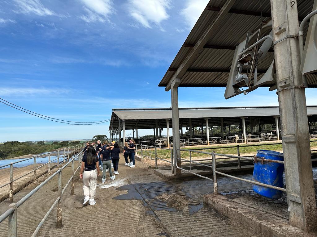 Mulheres Cooperativistas Veiling em Castro