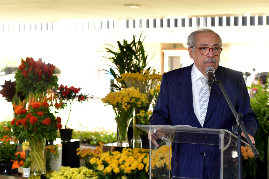 Experiência com Flores STJ