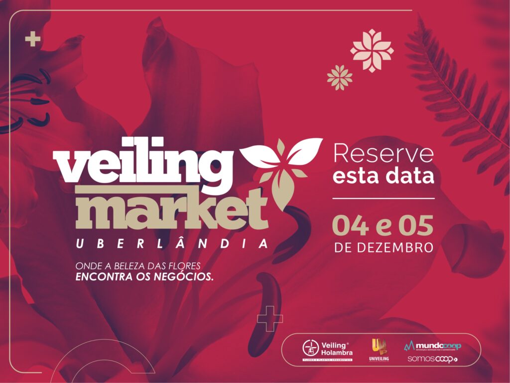 Veiling Market Uberlândia