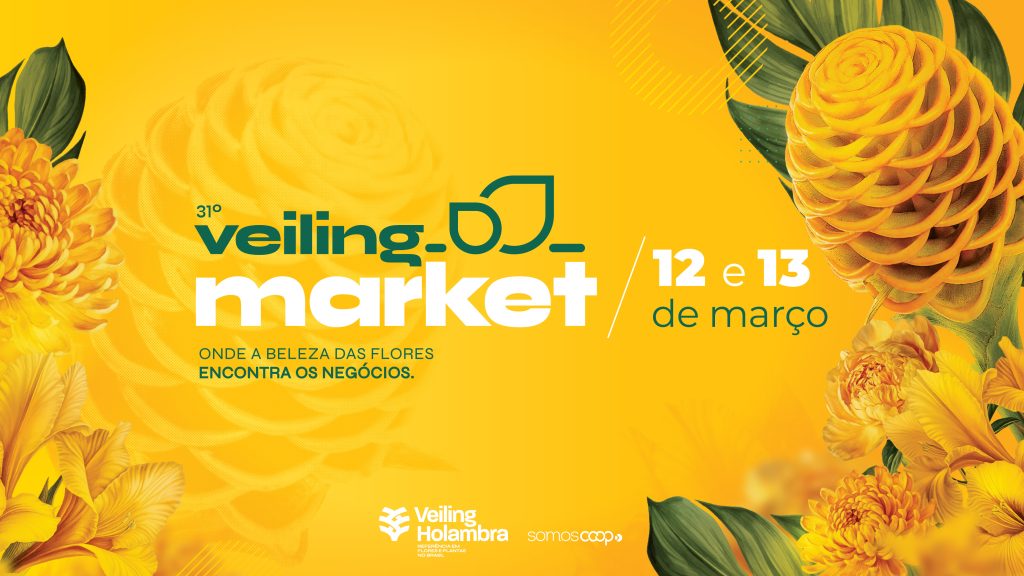 31º Veiling Market