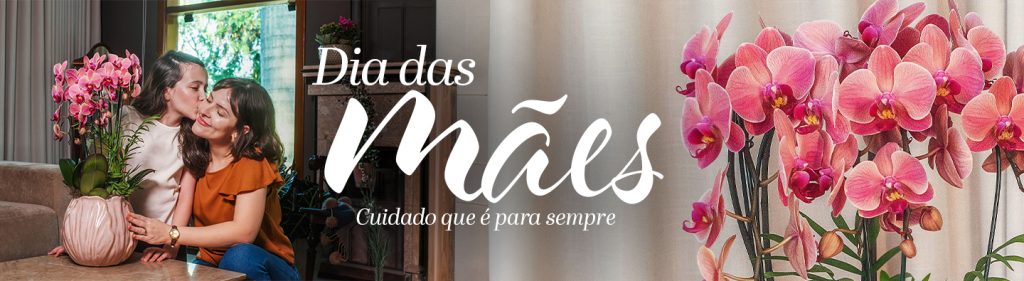 Campanha Dia das Mães 2026
