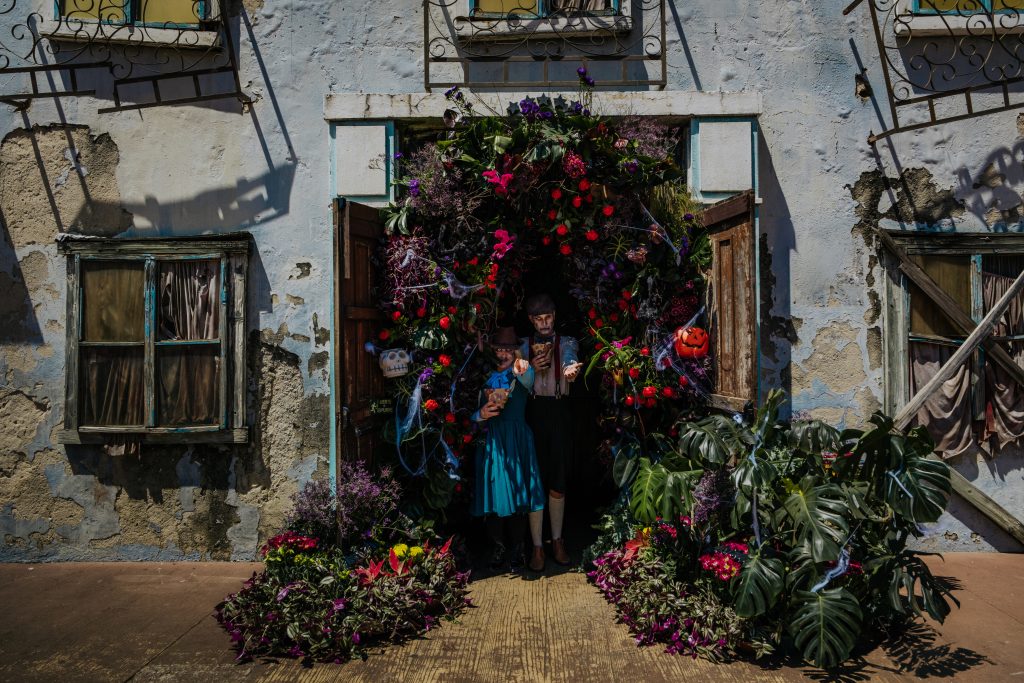 Halloween: flores ou travessuras?