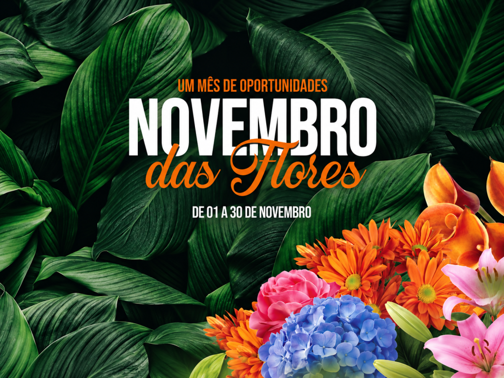 Novembro de Oportunidades