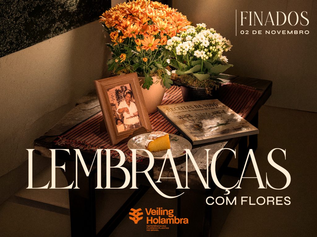 Cultive lembranças nesse Finados